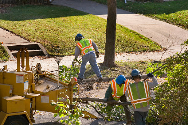 Best Seasonal Cleanup  in Carolina Shores, NC